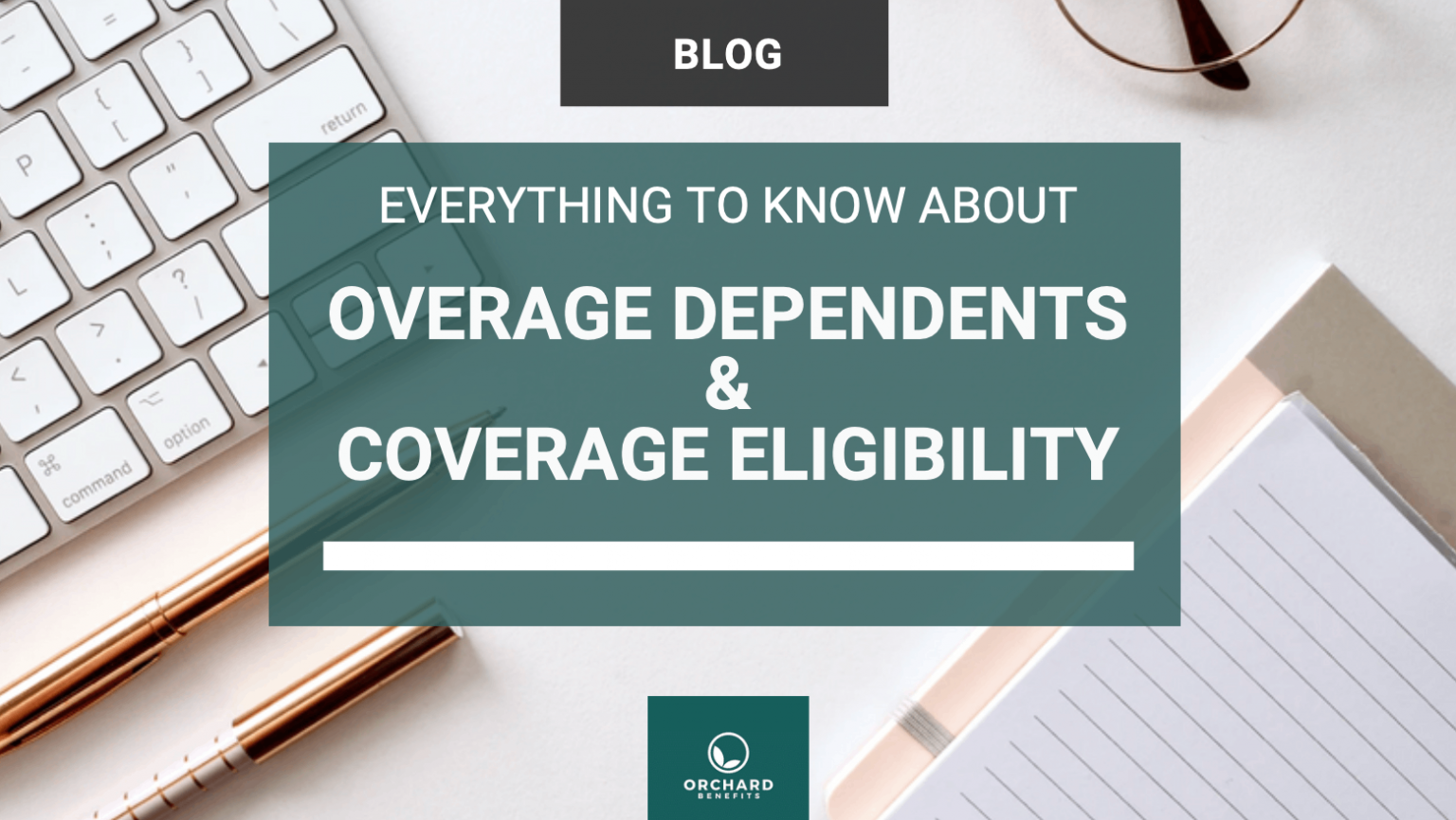 Everything To Know About Overage Dependent Coverage Eligibility